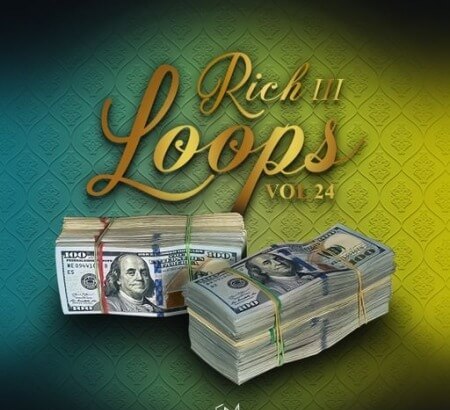 DiyMusicBiz Rich Loops Vol 24 WAV